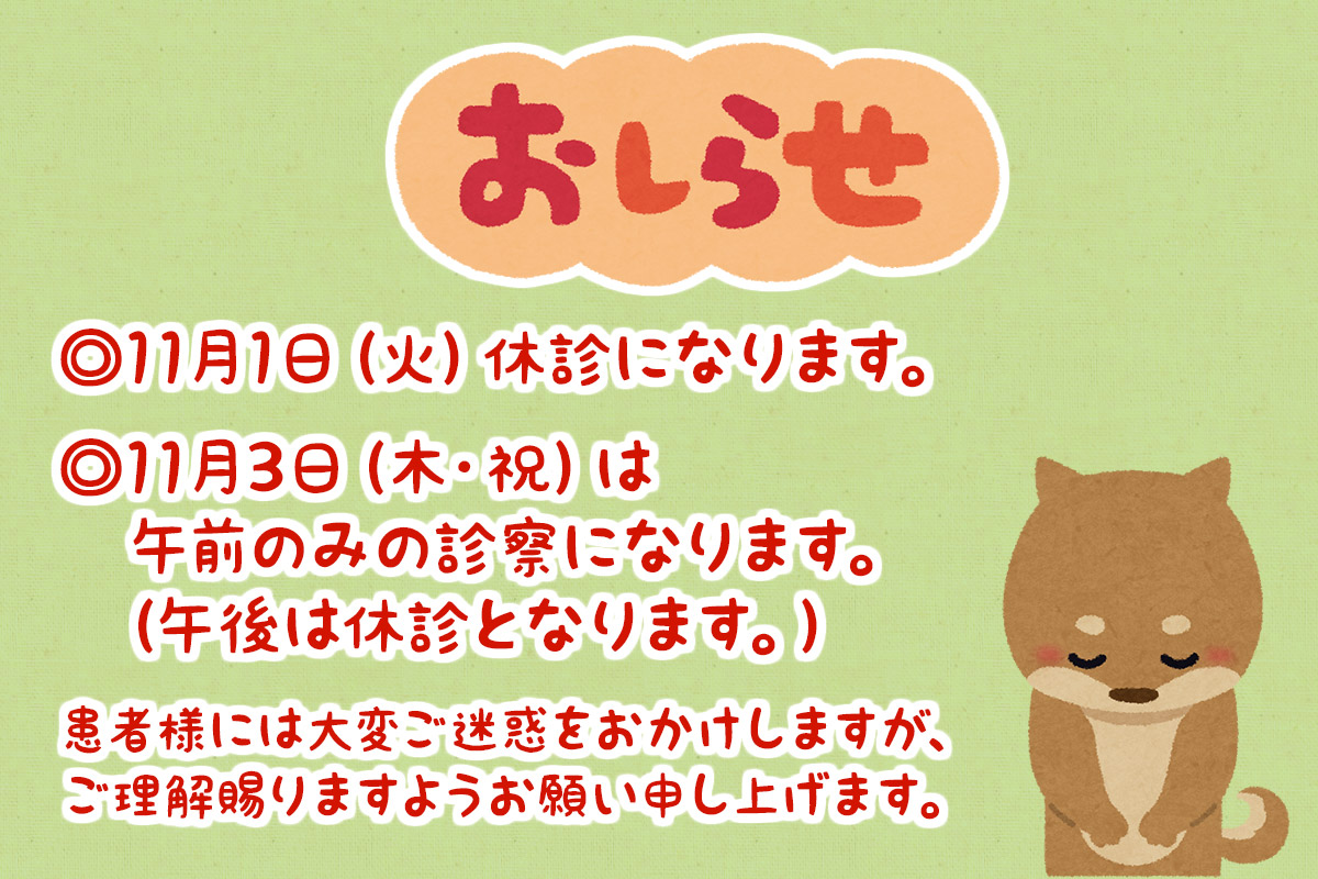 シェル動物病院 大阪府吹田市五月が丘の動物病院 大阪 吹田 千里 南千里