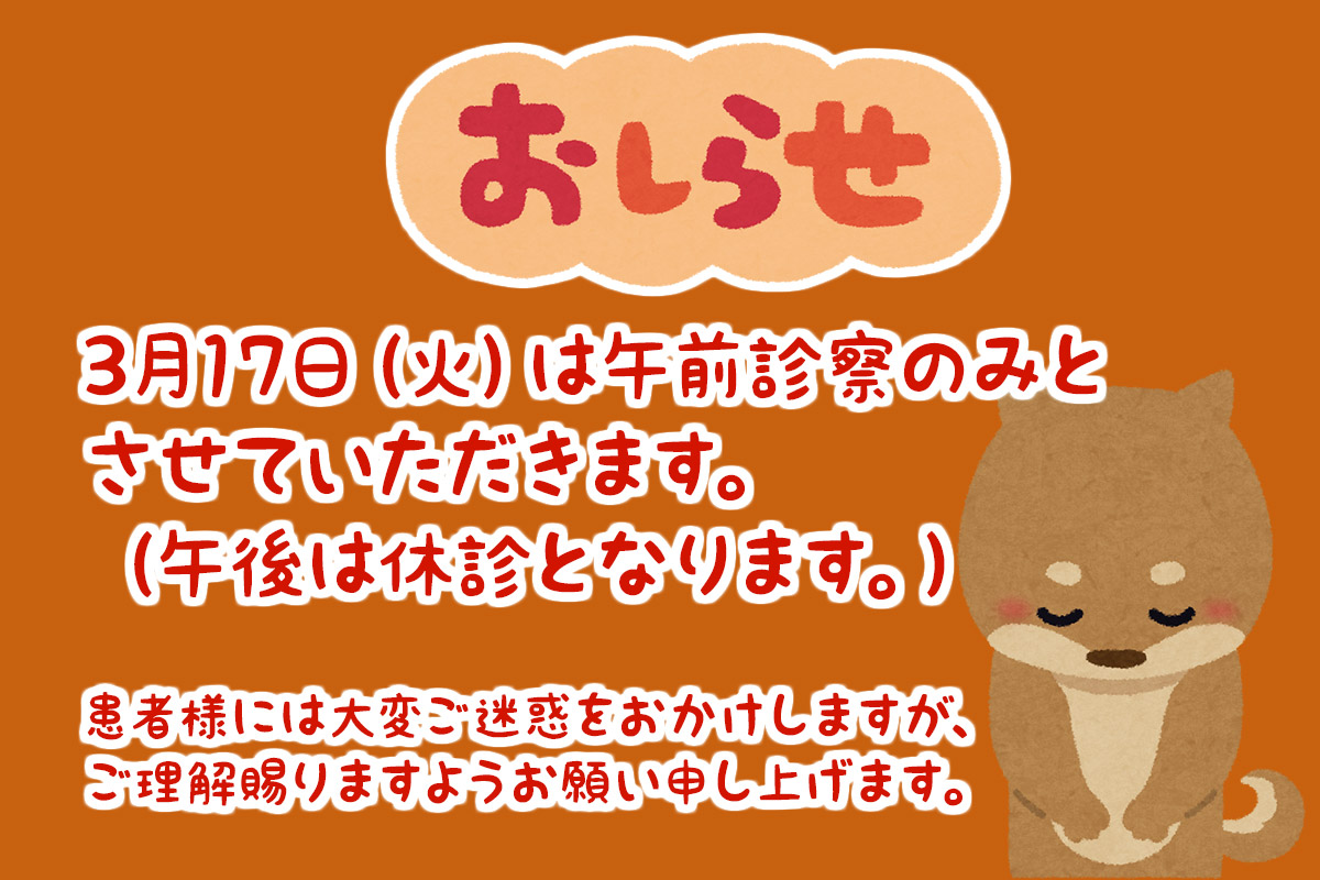 シェル動物病院:3月17日（火）は午後休診となります。