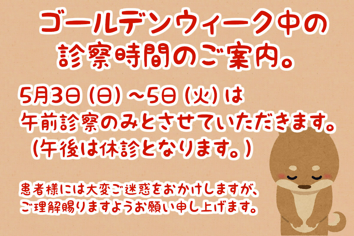シェル動物病院のご紹介