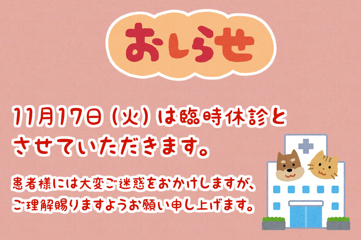 11月17日（火）は臨時休診となります。